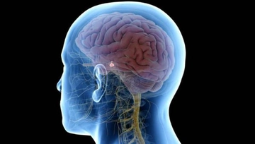 Hipofiz Makroadenomu Belirtileri ve Tedavisi